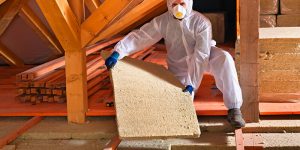 Attic Cleaning and Decontamination - attic pro