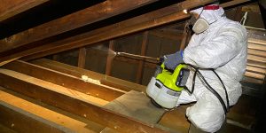 Attic Cleaning And Sanitizing - Attic Cleaning And Sanitizing